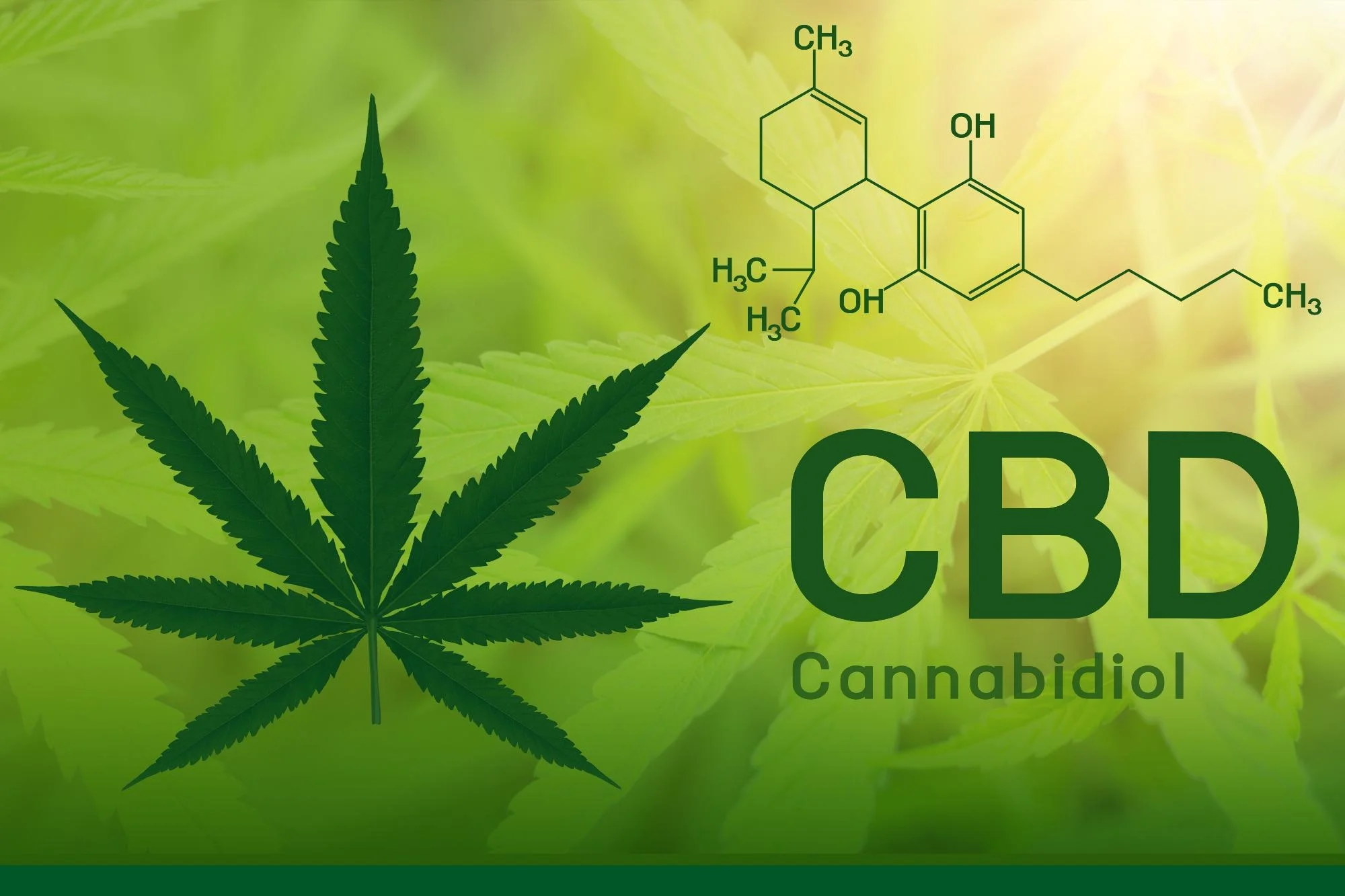 cannabidiol