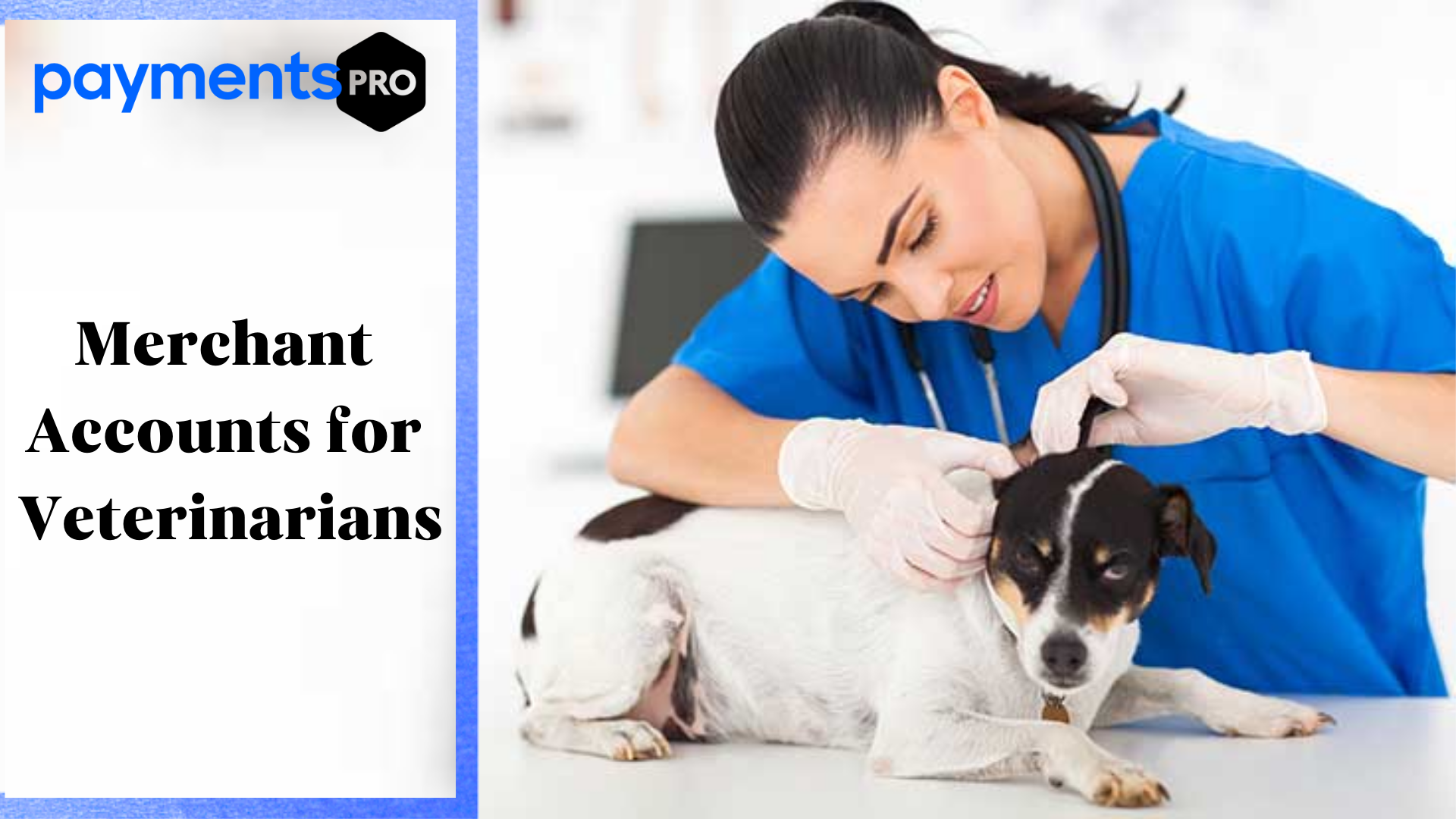 Merchant Accounts for Veterinarians image