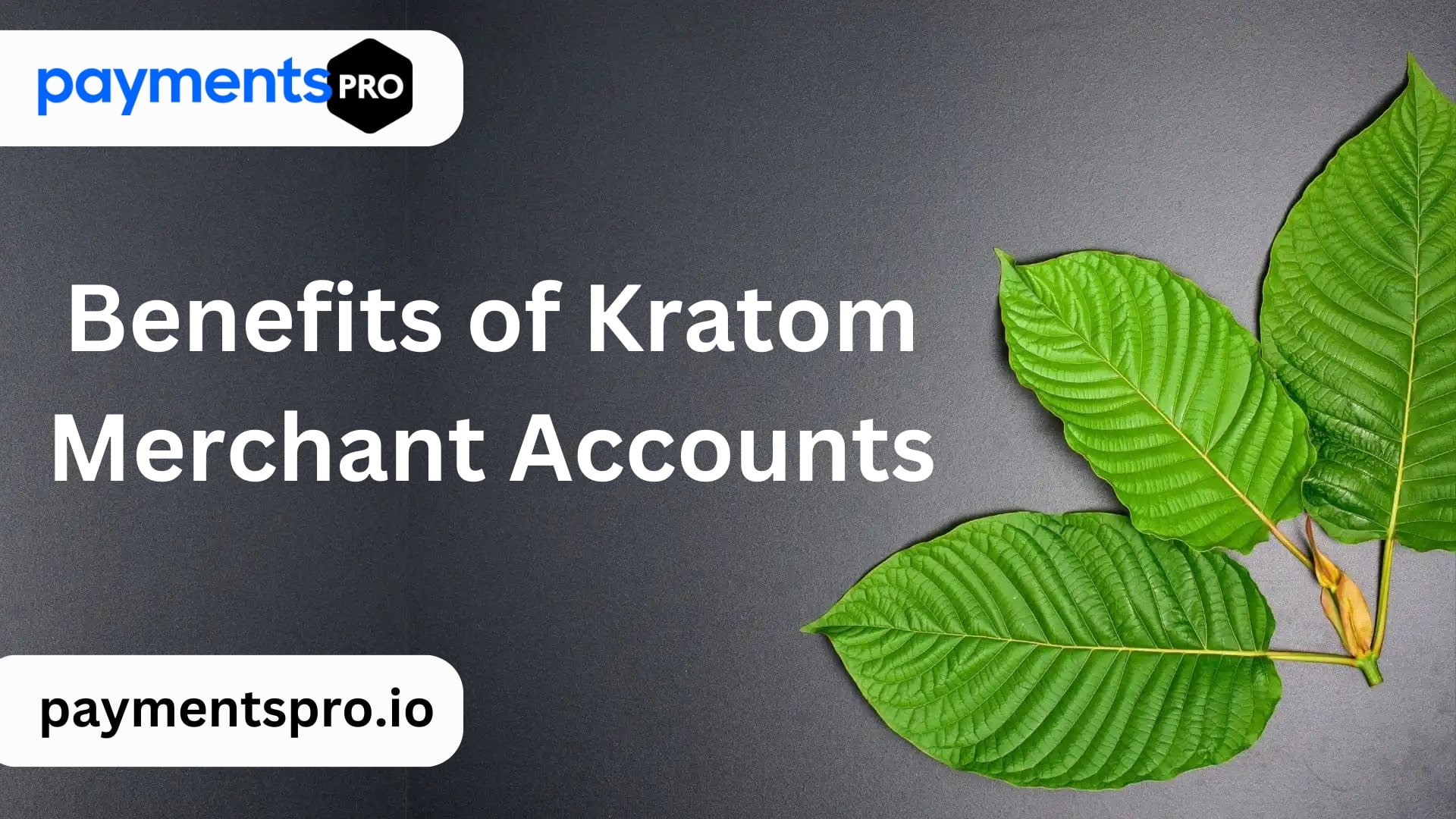 kratom merchant accounts image