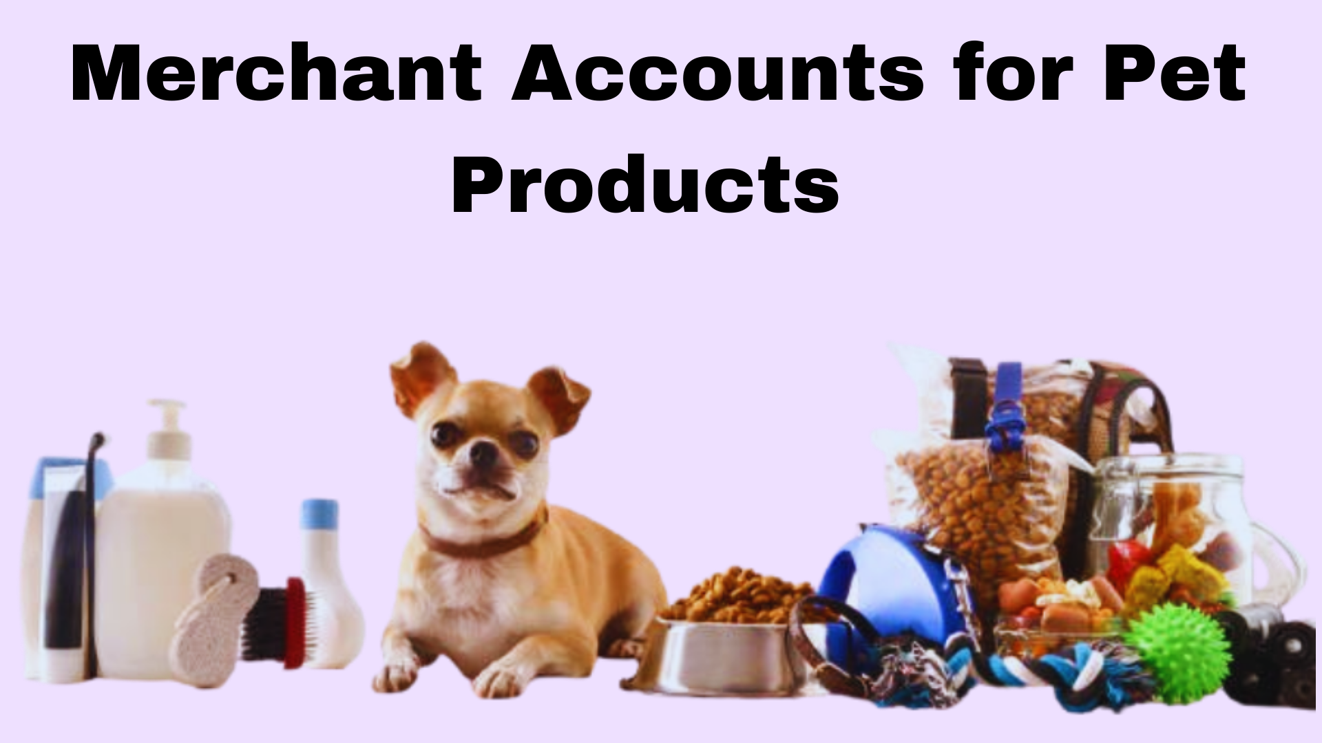 merchant accounts for pet products image