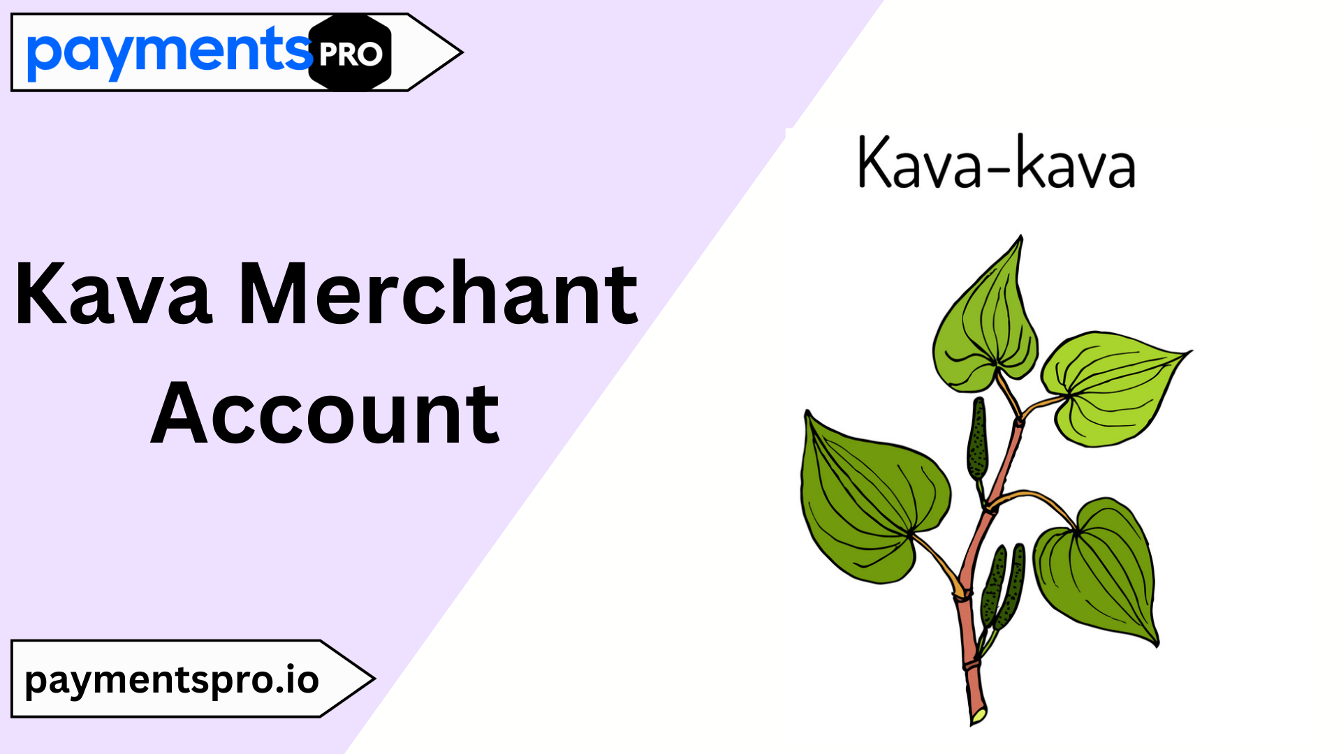 Kava Merchant Account image