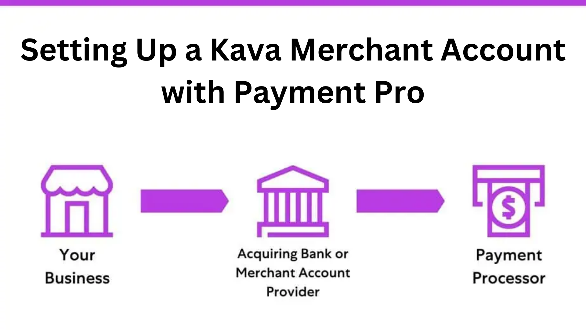 Payment Pro