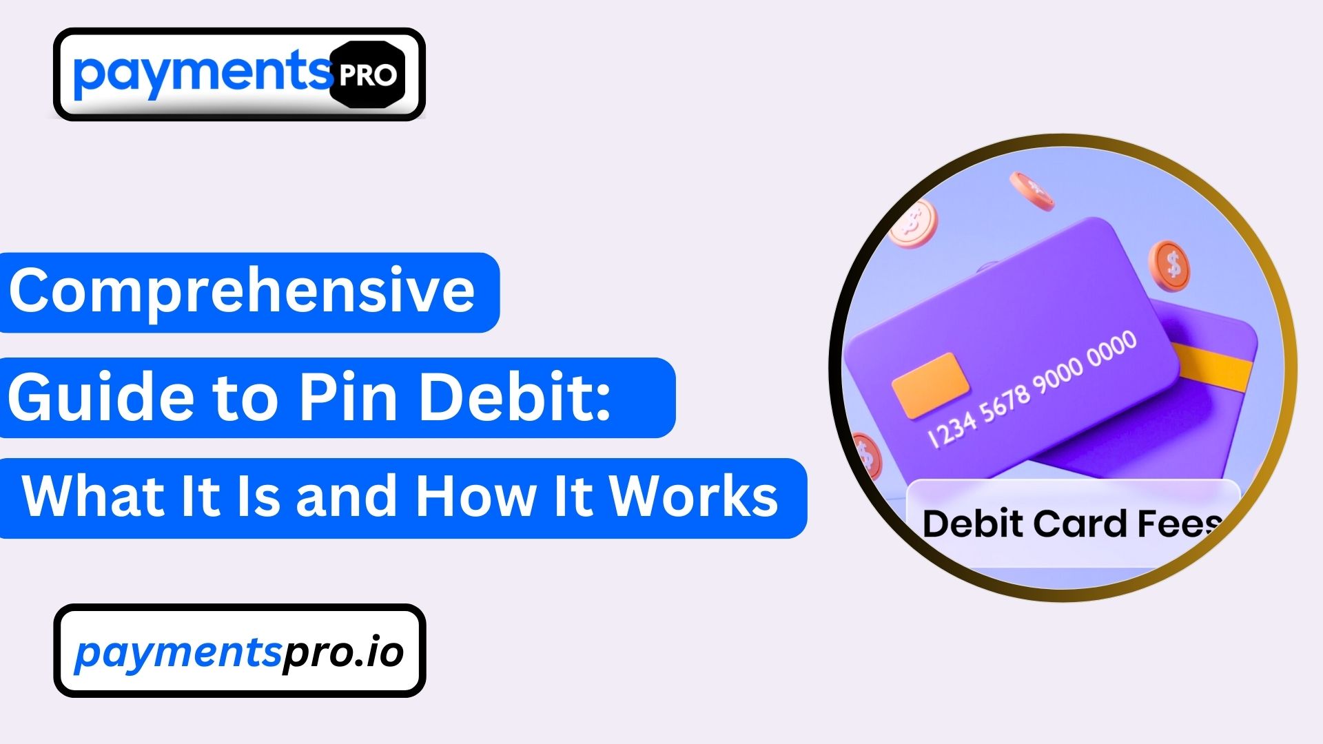 Pin Debit image